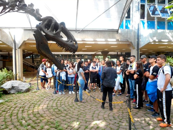 Trabalho de Campo: 1º Ano do Ensino Médio